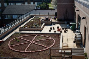 Jules green roof