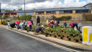 Community planting at Lowden Road