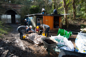 Green roof group build - Sydenham Hill Wood