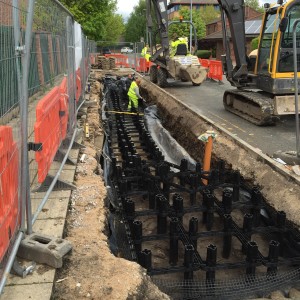 A two-layer soil cell system was installed for three trees along a footpath in Manchester (Courtesy: DeepRoot Urban Solutions)
