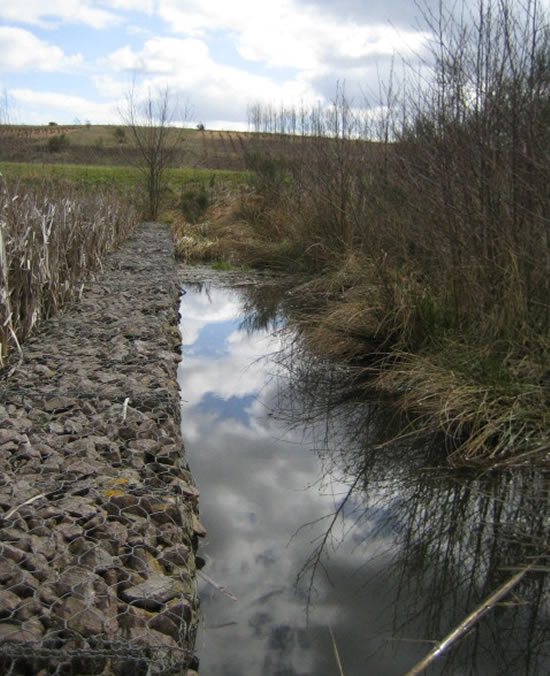 Stilling pool and gabion in system 2 reed bed 2