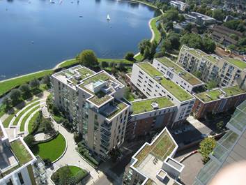 Green roofs @ Woodberry Down