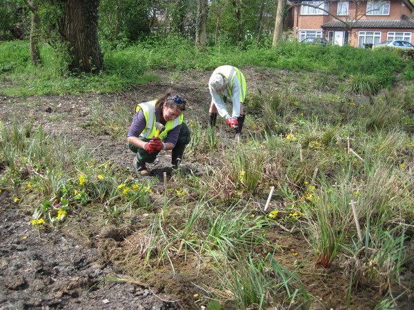 Volunteers planting SuDS components