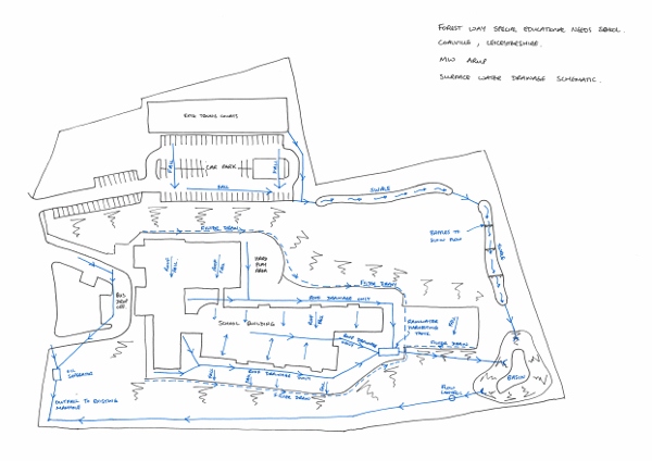 SuDS Forest Way School