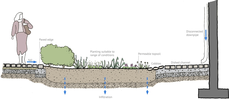 Rain garden SuDS