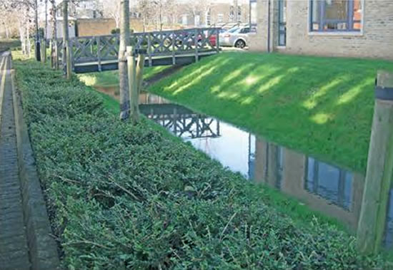 Bristol University Auditorium SuDS Scheme