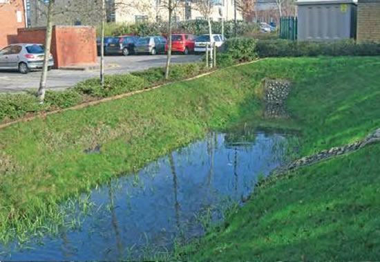 Bristol University Auditorium SuDS Scheme