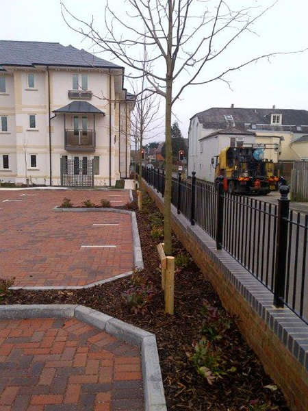 Buckland House Car Park SuDS