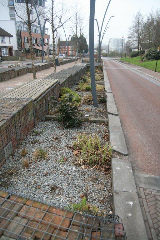 SuDS bioretention area