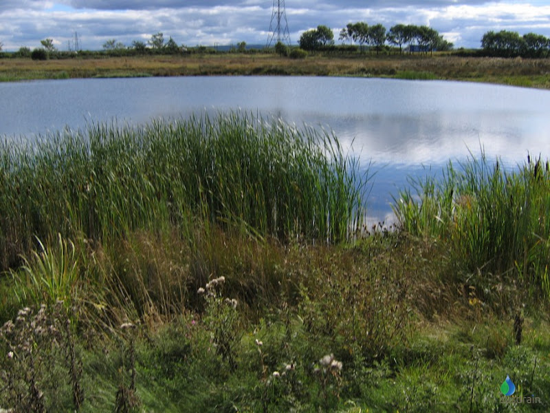 SuDS component retention pond