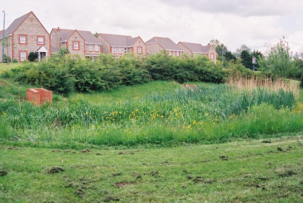 SuDS Component Wetlands