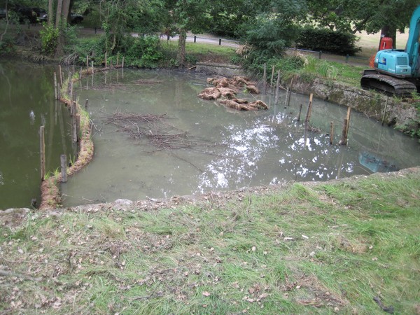 Wetland construction