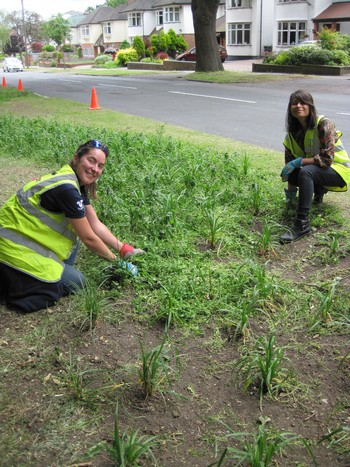 Volunteers weeding the swale