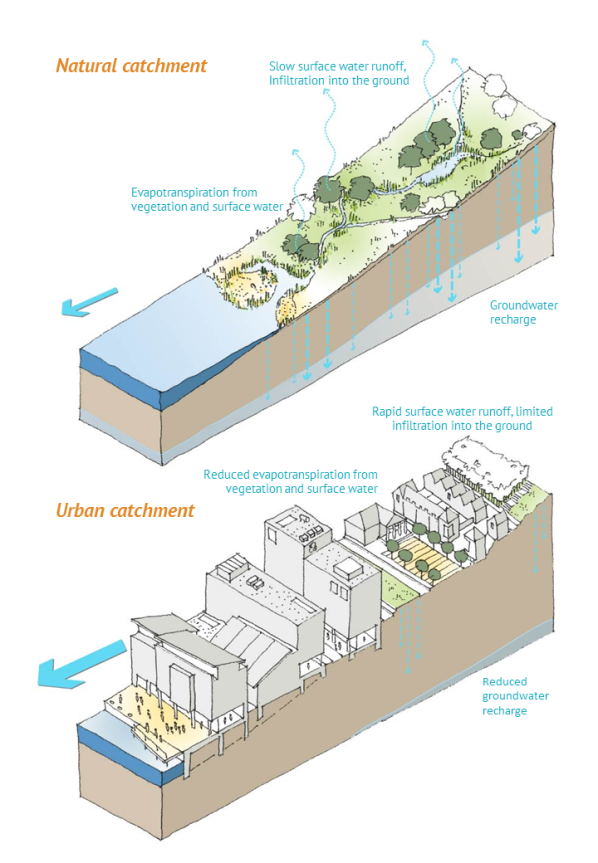SuDS Impact of urbanisation on the water cycle