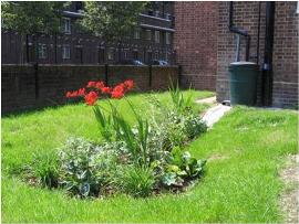 Ashby Grove rain garden SuDS