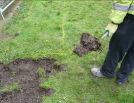 Ashby Grove rain garden SuDS