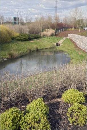 SuDS Detention Pond Bristol Business Park