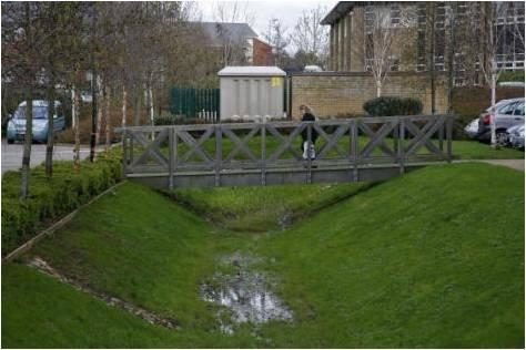 SuDS Swale