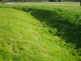 Figure 3 mown swale at Bushloe school SuDS