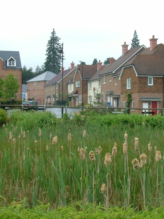 Figure 2 Detention basin SUDS