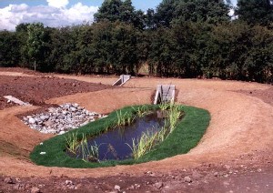 Figure 1 SuDS Spillage basin