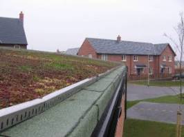 Figure 4 SuDS green roof