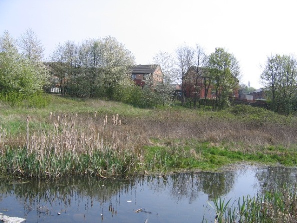 Figure 1 SuDS pond