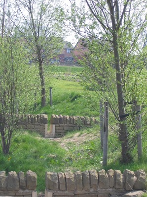 Figure 2 SuDS swale and outlet structures