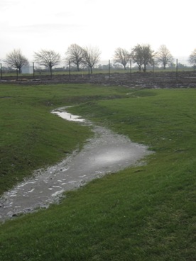 Figure 3 SuDS Swale