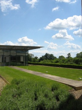 Figure 3 SuDS green roof