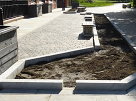 Derbyshire Street Pocket Park SuDS component