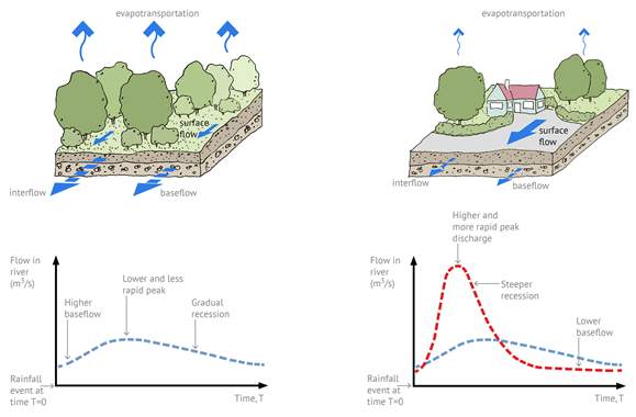 SuDS Comparison of the water cycle