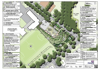 Landscape Proposals 