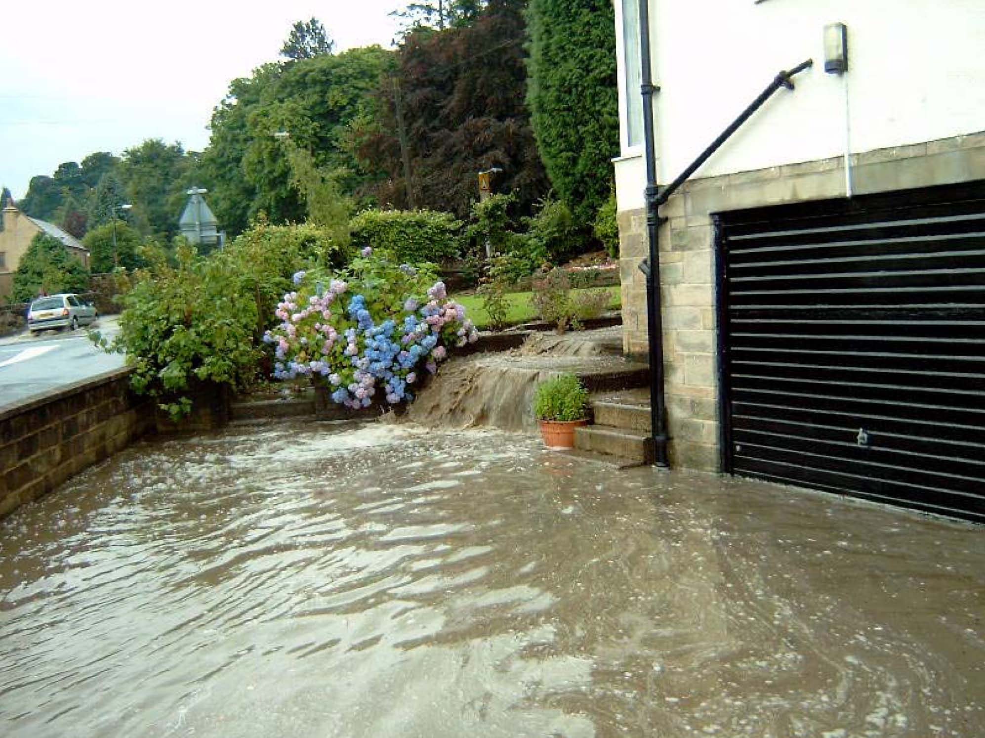 Unplanned pond - SuDS