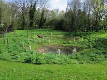 The infiltration basin with wildflower turf and grass seeding