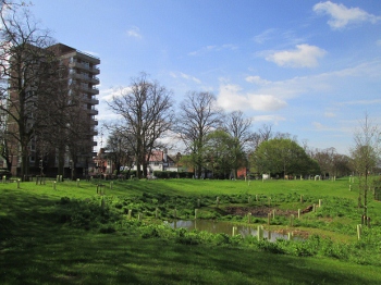 View towards Victoria Park Road and neighbouring residential area