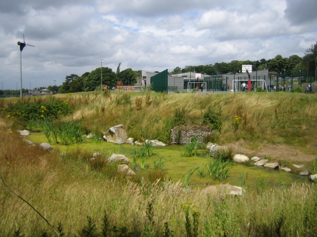 SuDS Forest Way School Swale