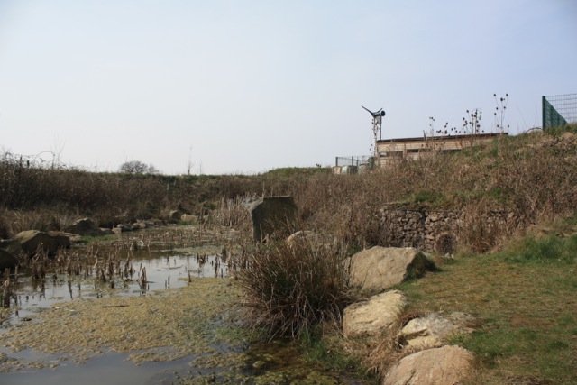 SuDS Forest Way School Swale