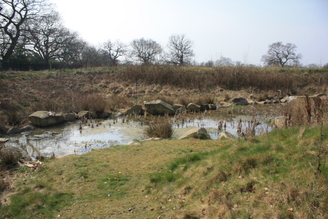 SuDS Forest Way School Swale