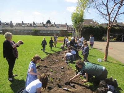 Hollickwood School Planting