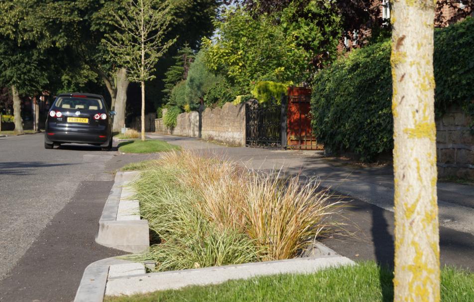 Retrofit rain garden