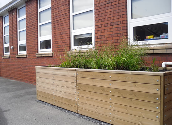 Rain planter on the car park elevation of the school